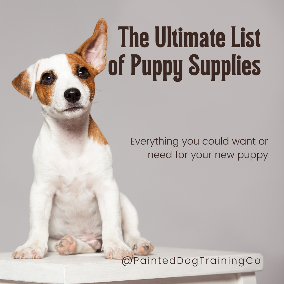 A colorful graphic titled "The Ultimate List of Puppy Supplies" with a photo of a puppy with one ear up and one ear down