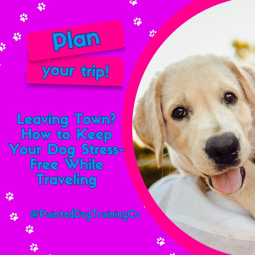 Featured image: Leaving Town article information with a yellow lab puppy