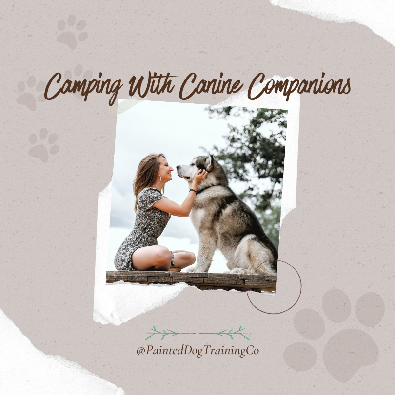 Camping with canine companions, photo of a woman with a dog